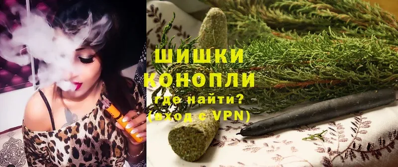 Бошки марихуана SATIVA & INDICA  mega маркетплейс  Канаш  где купить наркоту 